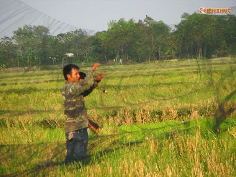 Theo chan tho, di san chim se dong o Ha noi-Hinh-7